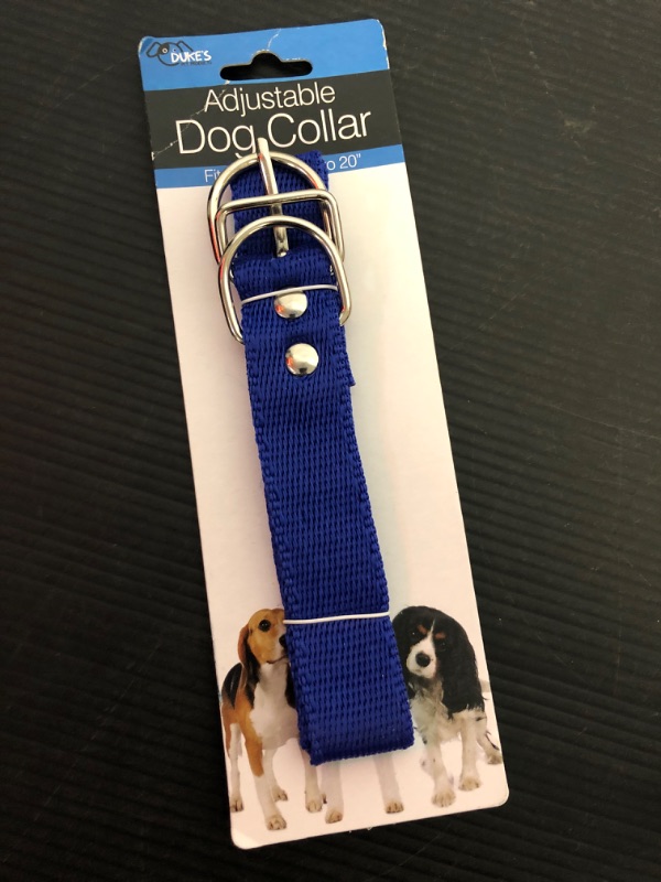 Photo 1 of Kole Imports Nylon Adjustable Dog Collar, NA