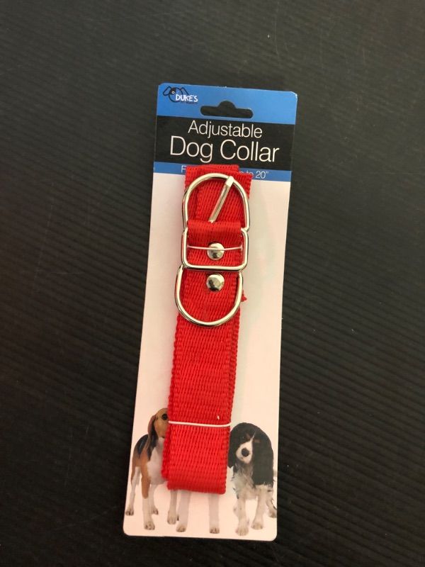 Photo 1 of Kole Imports Nylon Adjustable Dog Collar, NA