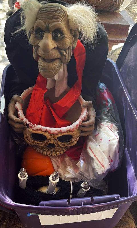 Photo 1 of CONTENTS OF TOTE HALLOWEEN DECORATIONS