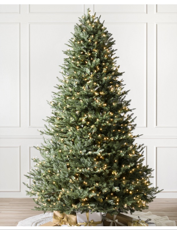 Photo 1 of BALSAM HILL CHRISTMAS TREE IN WHEELED CARRYING CASE