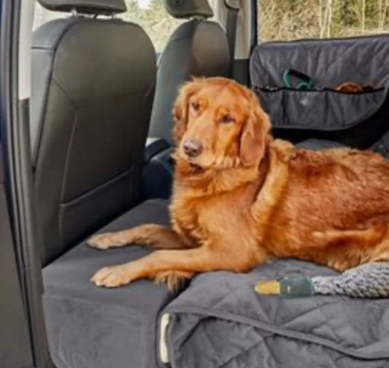 Photo 1 of ORVIS CAR CUSHION FOR DOG, EXTENDS SEAT SO DOG WILL NOT FALL ON FLOOR 24 1/2” x H13”
