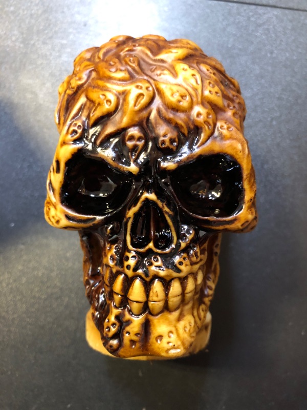 Photo 1 of 5 Pack Halloween Decorations - Light Up Skulls - Batteries Included