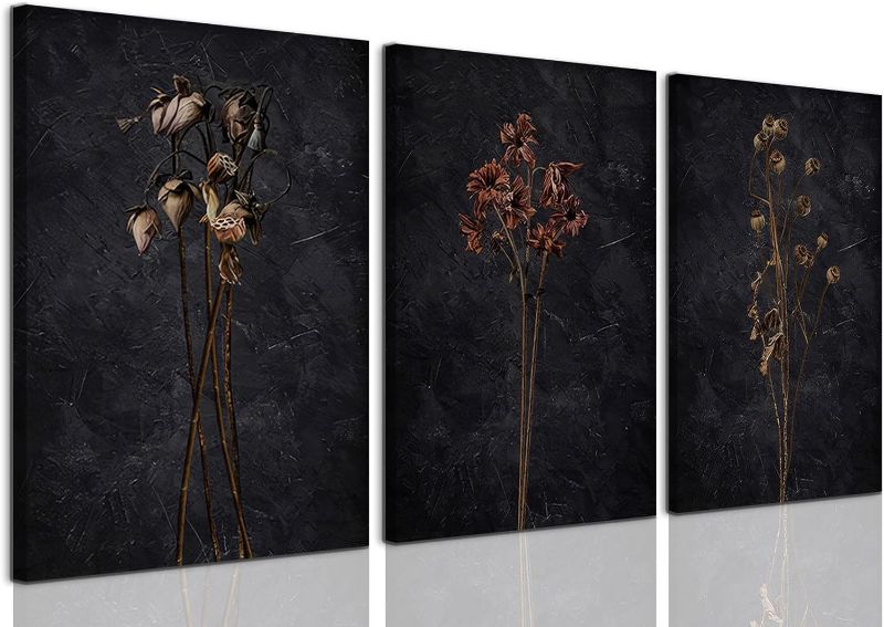 Photo 1 of LYPHNX Framed Black Moody Wildflowers Canvas Wall Art Dark Vintage Dried Floral Wilderness Botanical Painting Poster Set of 3 Nature Prints Picture Wall decor for Living Room Bedroom Office 16"x24"
