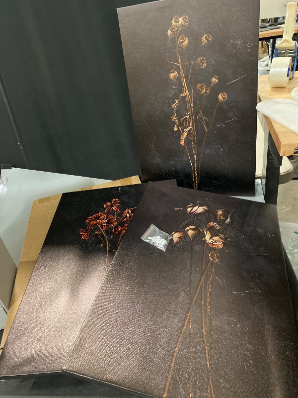 Photo 1 of LYPHNX Framed Black Moody Wildflowers Canvas Wall Art Dark Vintage Dried Floral Wilderness Botanical Painting Poster Set of 3 Nature Prints Picture Wall decor for Living Room Bedroom Office 16"x24"
