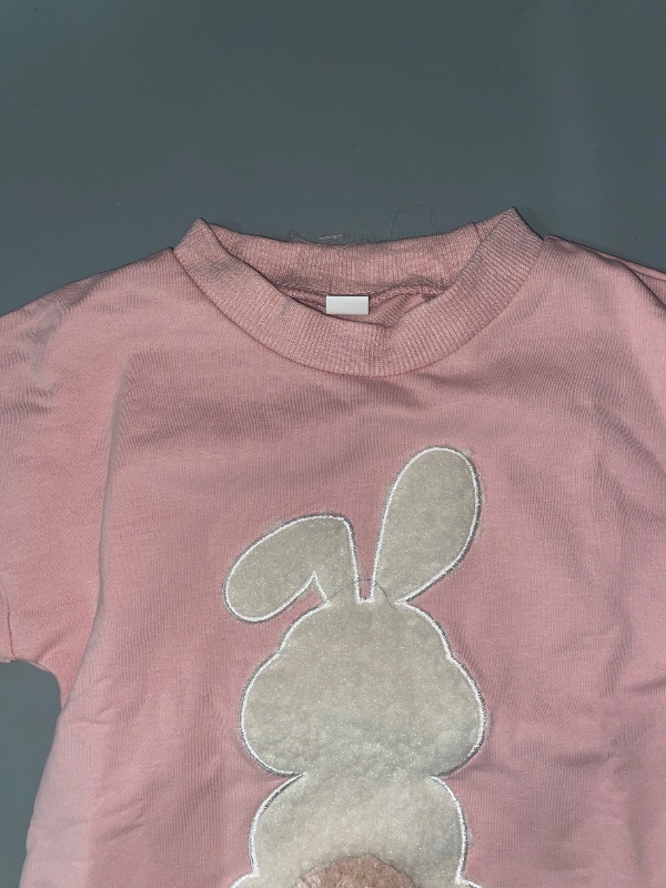 Photo 1 of 3-6M- Easter Baby Girl Clothes Fuzzy Bunny Embroidery Romper Sweatshirt Bubble Jumpsuit Toddler Baby Girl Outfit
