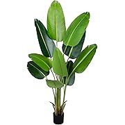 Photo 1 of Artificial Bird of Paradise Plant 5.2Ft Fake Tropical Palm Tree with 10Trunks Faux Banana Leaf Trees in Pot for Home Indoor Outdoor Office Modern Decor Housewarming Gift?1Pcs?
