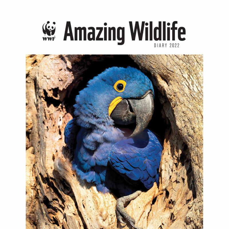 Photo 1 of WWF Amazing Wildlife Deluxe Engagement Diary