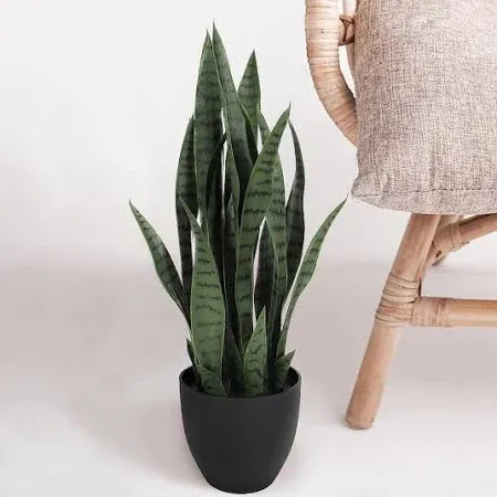 Photo 1 of 26 in. Indoor Sansevieria Artificial Plant
