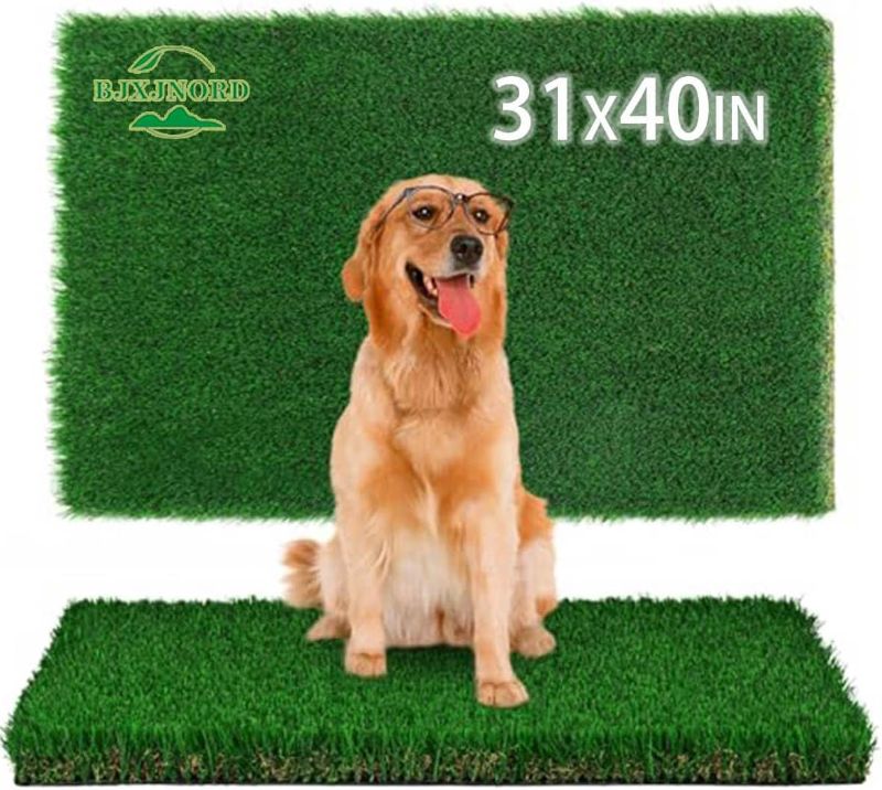 Photo 1 of Artificial Grass Pad for Dogs - Premium Dog Potty Turf Mat with Drainage Holes, Fake Grass Pee Pads, Puppy Training Turf, Reusable Indoor Outdoor Grass Pad for Dogs Potty Training and More 31x40 in
