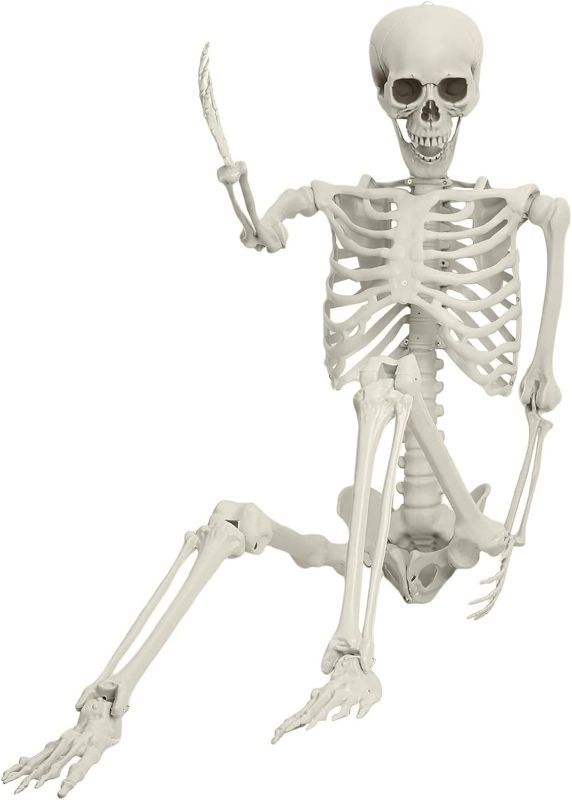 Photo 1 of 5.4ft Halloween Life Size Skeleton, Posable Halloween Skeleton Life Size, Life Size Skeleton Halloween Decor, Full Size Skeleton, Outdoor Skeleton Halloween Decorations (White)
