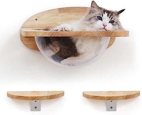 Photo 1 of  FUKUMARU Cat Wall Furniture Set, Transparent Capsule Cat Wall Shelves with 2 PCS Pedals - Premium Kitty Bed for Sleeping, Playing, Climbing, and Lounging - Easily Holds Up to 35 Lbs 