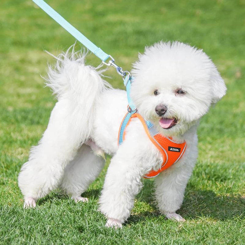 Photo 1 of AIITLE No Pull Dog Harness and Leash Set, Step in Adjustable Dog Harness with Padded Vest for All Weather, Dog Leash with Soft Padded Handle, Easy to Put on.