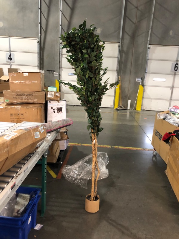 Photo 2 of ***USED - DIRTY - NO PACKAGING - SEE PICTURES***
Nearly Natural 8ft. Ficus Tree, Green, With Base