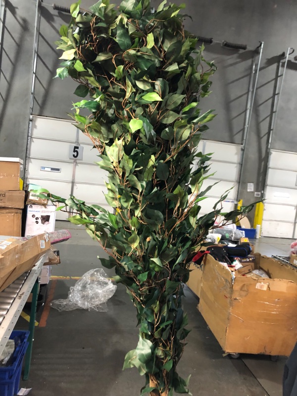 Photo 5 of ***USED - DIRTY - NO PACKAGING - SEE PICTURES***
Nearly Natural 8ft. Ficus Tree, Green, With Base