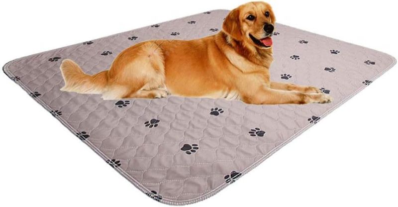 Photo 1 of  ***IMAGE FOR REFERENCE***
Washable Dog Pee Pads with Puppy Grooming Gloves,Puppy Pads,Reusable Pet Training Pads,Large Dog Pee Pad,Waterproof Pet Pads for Dog Bed Mat,Super Absorbing Whelping Pads