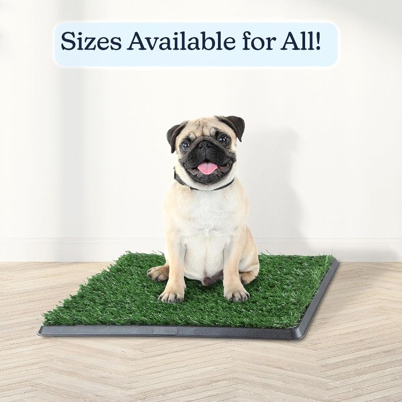 Photo 1 of Artificial Grass Puppy Pee Pad for Dogs and Small Pets - 16x20 Reusable 3-Layer Training Potty Pad with Tray - Dog Housebreaking Supplies by PETMAKER
