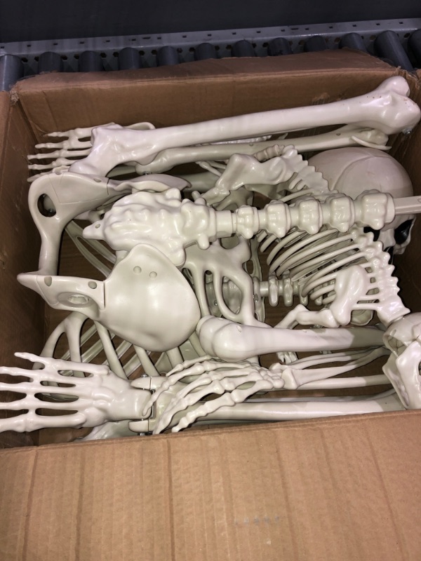 Photo 1 of 5.4Ft Halloween Skeleton Creepy Posable Skeleton Full Size Skeleton with Movable Joints for Outdoor Indoor Halloween Decor White