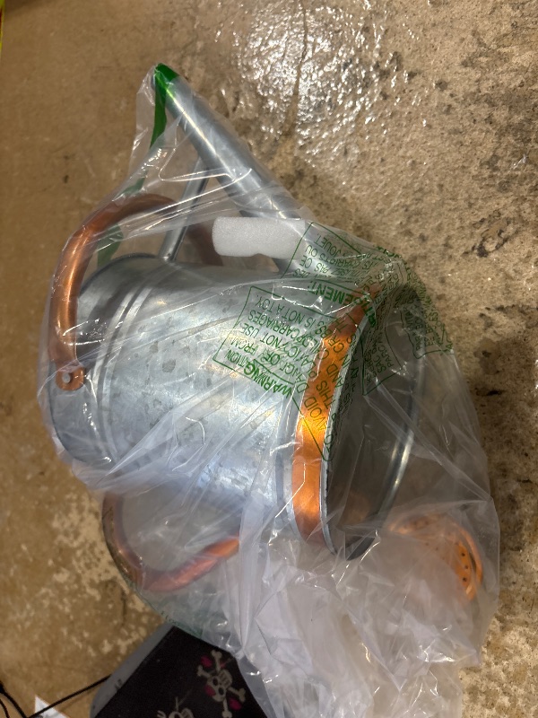 Photo 1 of 1 Gallon Watering Can for Outdoor Plants and Indoor Plants?Premium Galvanized Steel Watering Can with 2 Handles?Metal Flower Watering Can with Removable Sprinkler Head?Vintage Silver