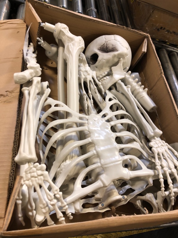 Photo 1 of WODMAZ 6Ft Halloween Skeleton, Posable Life Size Skeleton with Glowing Eyes Creepy Sound, Plastic Skeletons with Movable Joints for Graveyard Prop, Indoor Outdoor Haunted House Party Decor