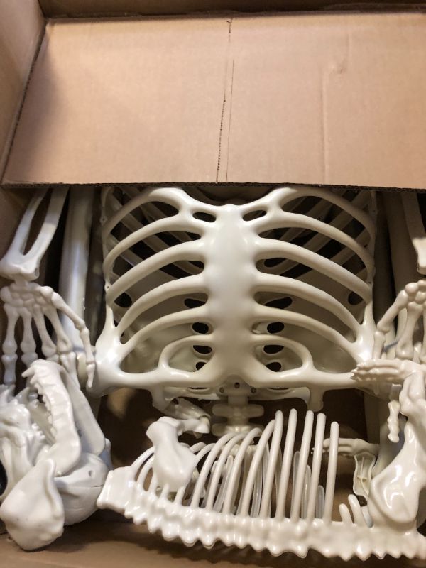Photo 1 of 5.4Ft Posable Halloween Skeleton, Full Body Life Size Skeleton with Dog Skeleton for Halloween Spooky Party Props Decor