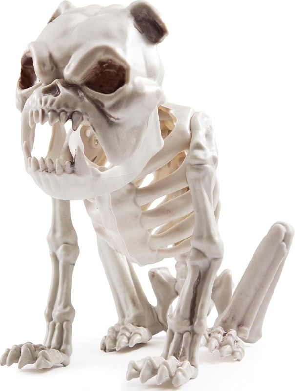 Photo 1 of JOYIN Halloween Plastic Dog Skeleton 8 Inches Puppy Skeleton Plastic Dog Bones with Joints for Prop Spooky Scene Party Favors Decoration
