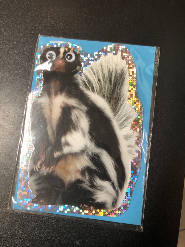 Photo 2 of Hallmark Funny Father's Day Card (Little Stinker, Skunk)