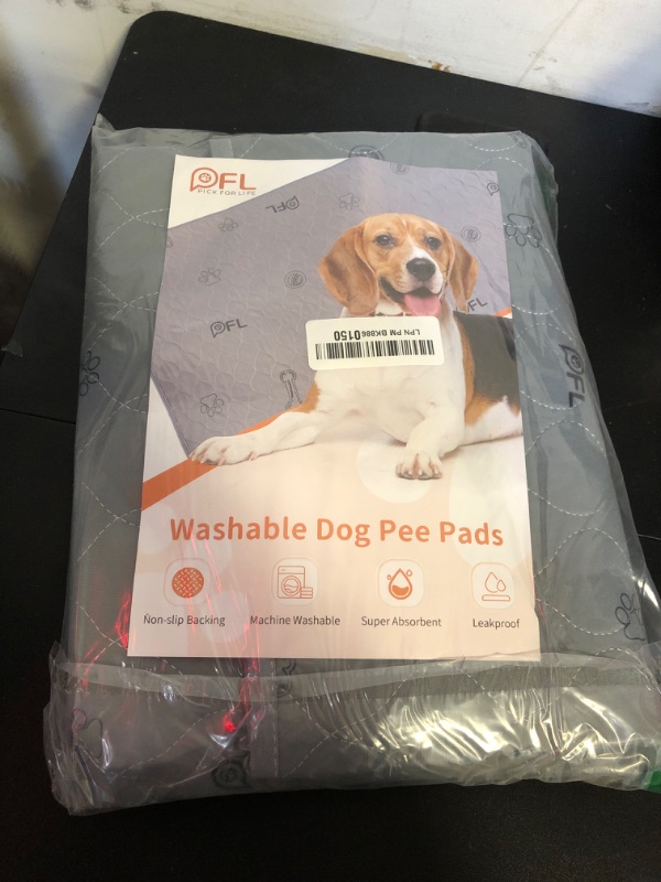 Photo 2 of Washable Pee Pads for Dogs, 2Pack Puppy Pads Washable,Absorbent Reusable Whelping Pads, Non-Slip Dog Mats with Bone Print for Floor Protector, Couch Cover, Crate, Potty Training 36x36