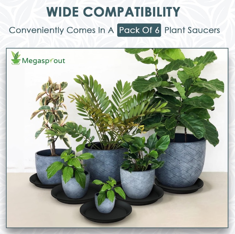 Photo 1 of CASE OF 20 MEGASPROUT 6 PACK PLANT SAUCER TRAYS 9”, STRUDY PLASTIC PLANT TRAYS FOR POTS AND PLANTERS PROTECT AND ENHANCE SURFACES WITH BLACK ROUND FLOWER POT SAUCERS