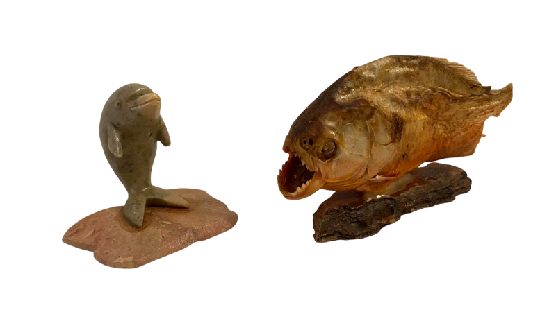 Photo 1 of PIRANHA SPECIMEN AND A STONE DOLPHIN