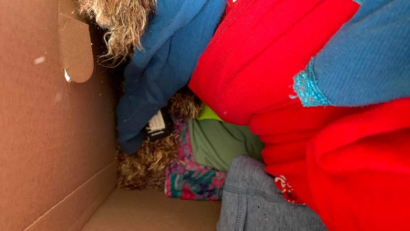 Photo 1 of BOX OF WOMENS SCARVES AND WRAPS