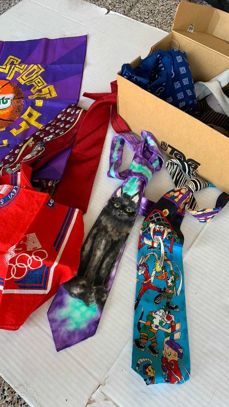 Photo 1 of MENS TIES AND SCARVES