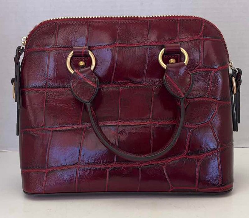 Photo 1 of DOONEY AND BOURKE DENISON SATCHEL WITH DUSTBAG