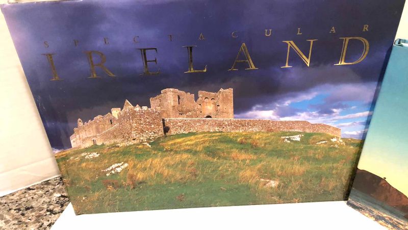 Photo 1 of LARGE PICTURE BOOKS