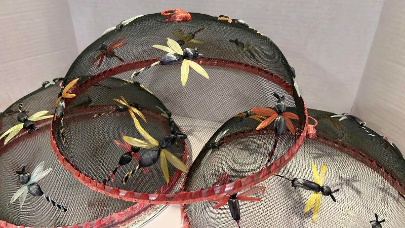 Photo 1 of DRAGON FLY THEMED PICNIC FOOD TENTS