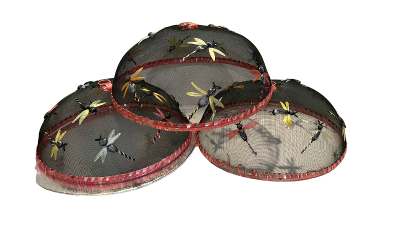 Photo 1 of DRAGON FLY THEMED PICNIC FOOD TENTS