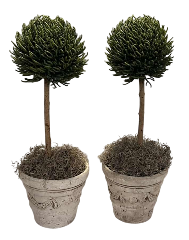 Photo 1 of 2-ARTIFICIAL TREES 