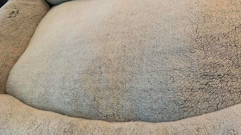 Photo 1 of PAW TAIL CUDDLER PET BED NON SKID BOTTOM 44" X 30" H 9"