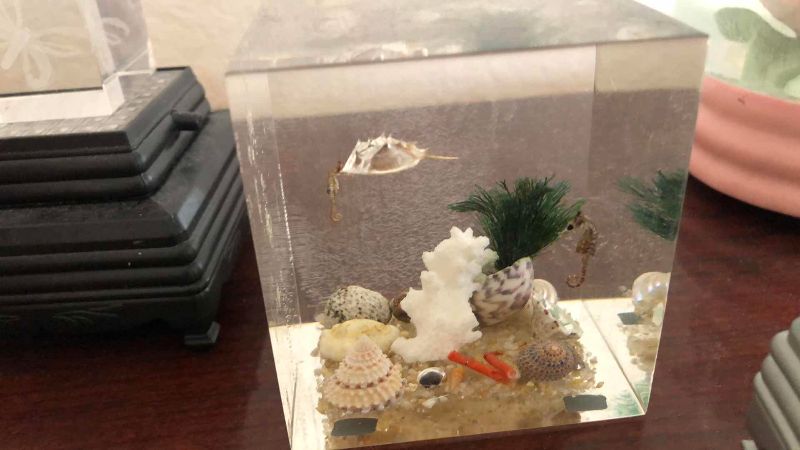 Photo 1 of CURIO AND CHRISTMAS ITEMS