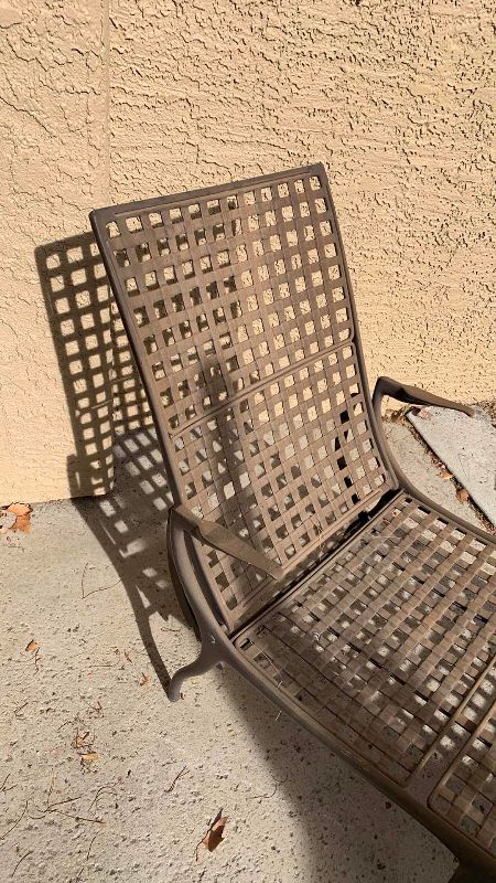 Photo 1 of METAL LOUNGE CHAIR