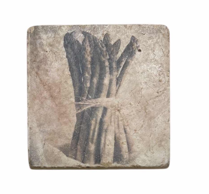 Photo 1 of STUDIO VERTU VEGETABLE ART STONE TILES (3) 8” X 8”