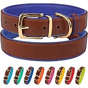 Photo 1 of CollarDirect Leather Dog Collar Brass Buckle Soft Padded Puppy Small Medium Large Red Pink Blue Green Purple Yellow (Neck Fit 12"-14", Purple)