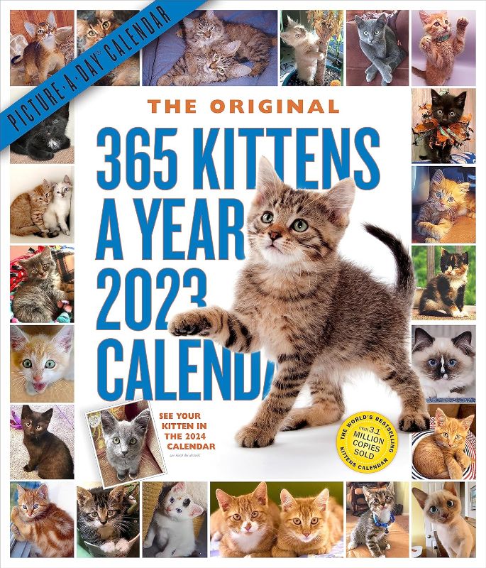 Photo 1 of 
Calendario de pared de 365 gatitos al año con imagen del día 2023