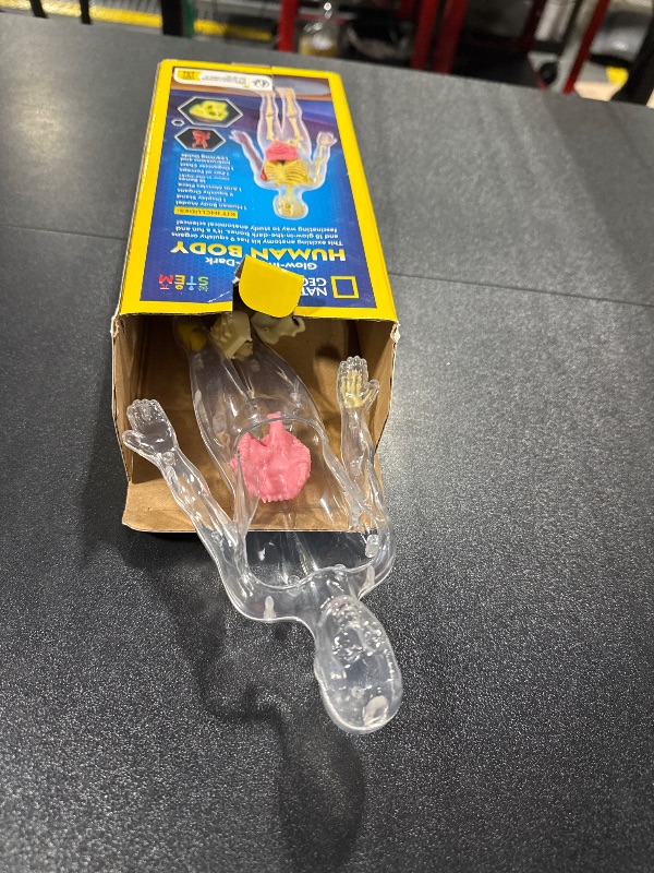 Photo 1 of National Geographic Human Body Model for Kids That Glows in The Dark - 32-Piece Interactive Anatomy Model with Bones, Organs, Muscles, Science Kit Stocking Stuffer, Anatomy & Physiology Study Tools