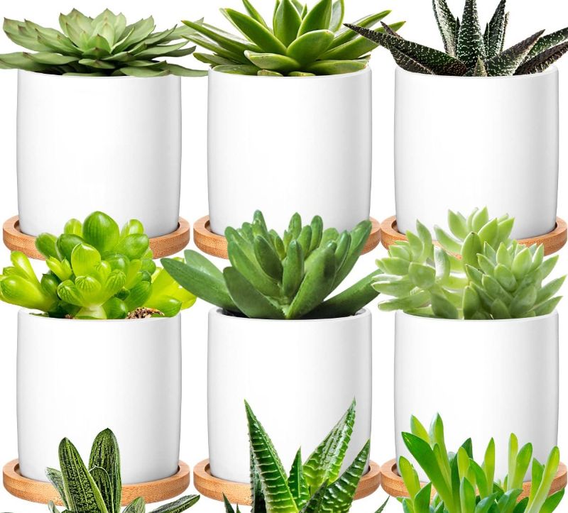 Photo 1 of 6 Pack Small Succulent Pots 3 Inch White Ceramic Planter Pot and Bamboo Tray (plants not included)