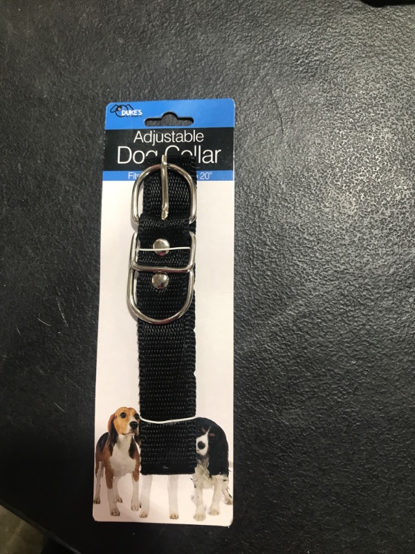 Photo 2 of Kole Imports Nylon Adjustable Dog Collar, NA