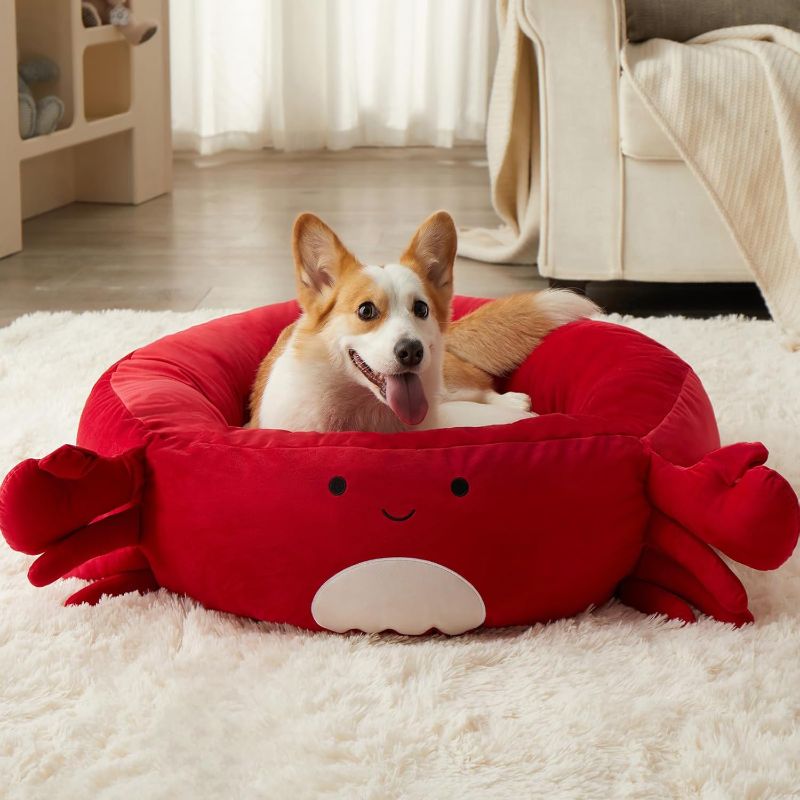 Photo 1 of BFPETHOME Cute Dog Beds for Small Dog, Donut Cute Cat Bed, Round Dog Bed Washable, Cozy Calming Dog Bed, Anti-Anxiety Pet Bed with Soft Plush & Anti Slip Bottom (20"/24"/30") Red