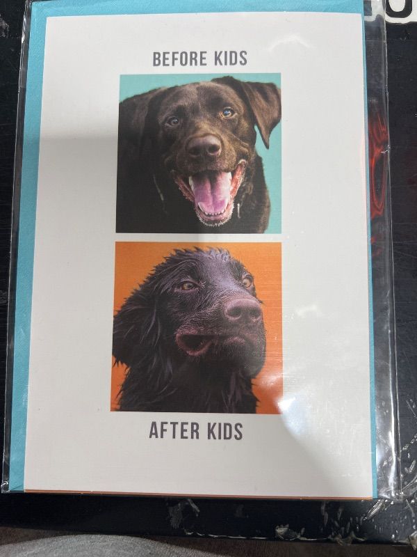 Photo 2 of Hallmark Shoebox Pack of 2 Funny Fathers Day Cards (Diaper Bag, Dogs)