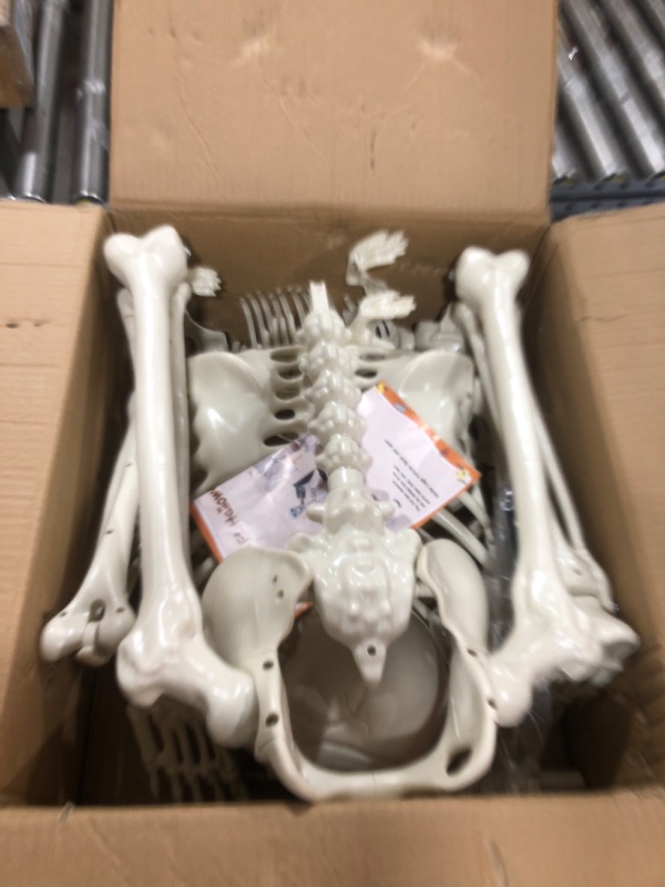 Photo 1 of 5.4Ft Halloween Skeleton Creepy Posable Skeleton Full Size Skeleton with Movable Joints for Outdoor Indoor Halloween Decor White