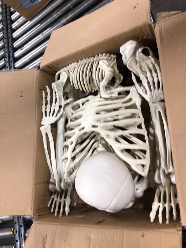 Photo 1 of 5.4Ft Posable Halloween Skeleton, Full Body Life Size Skeleton with Dog Skeleton for Halloween Spooky Party Props Decor