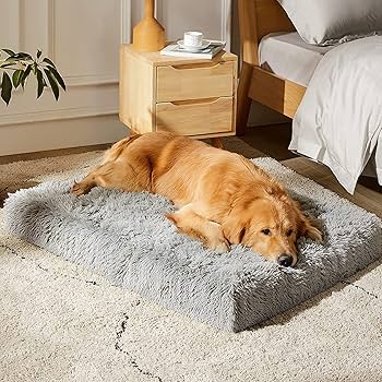 Photo 1 of MIHIKK Dog Bed for Large Dogs, Orthopedic Egg Foam Dog Bed  36x27 inch, Grey